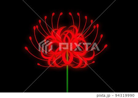 曼珠沙華 94319990