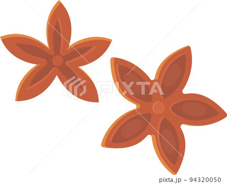 Star anise spice illustration isolated on white background in flat cartoon style. Food ingredient concept 94320050