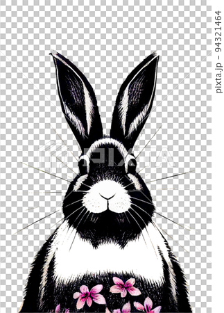 イラスト素材:2023年 年賀状 卯年 クールなうさぎの手書き墨絵イラスト イラスト素材:2023年 年賀状 卯年 クールなうさぎの手書き墨絵イラスト 94321464