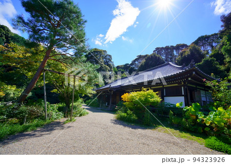浄瑠璃寺の境内・逆光の本堂 94323926