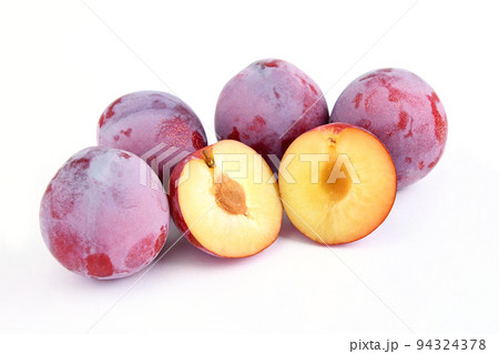 プラム（サンセプト） 94324378