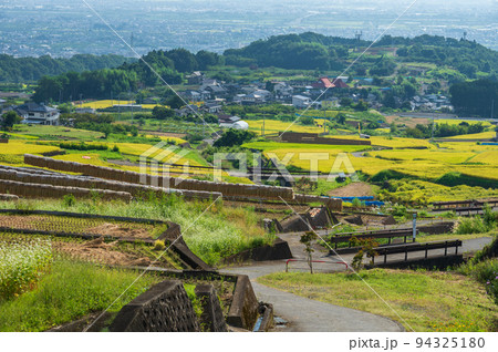 中野の棚田と南アルプス市の町並み 秋の田園風景 中野の棚田と南アルプス市の町並み 秋の田園風景 94325180