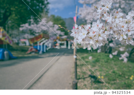 春の上田城跡公園 94325534