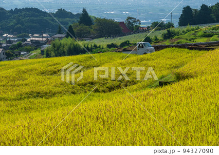 秋の棚田　中野の棚田 94327090