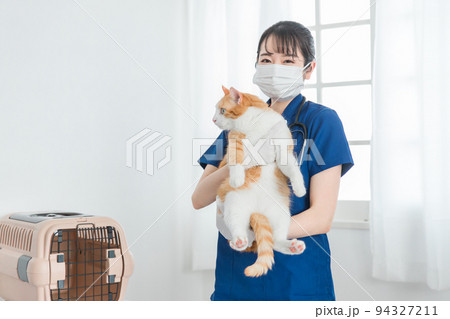 猫を抱く動物病院の女性の日本人獣医師 94327211