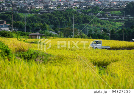 中野の棚田とあやめが丘の住宅街 94327259