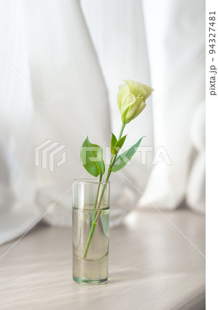 窓辺の花〜白いトルコキキョウ〜 窓辺の花〜白いトルコキキョウ〜 94327481