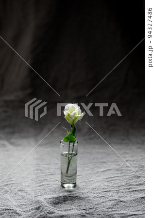 クールな花 クールな花 94327486