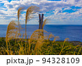 【徳之島】犬田布岬とススキ 94328109