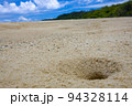 【徳之島】砂浜の巣 94328114