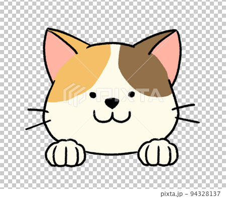 三毛猫の顔 94328137