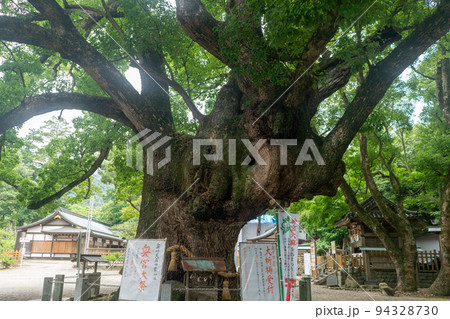 大麻比古神社 大麻比古神社 94328730
