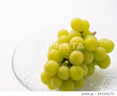 秋の味覚といえばぶどう(葡萄)シャインマスカット 秋の味覚といえばぶどう(葡萄)シャインマスカット 94329275