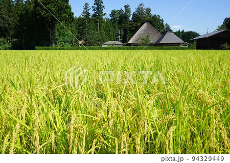 日本の原風景 日本の原風景 94329449