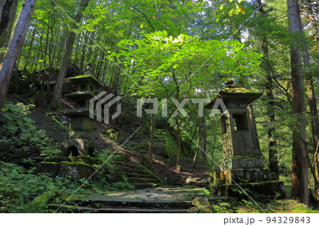 栃木県日光市　滝尾神社参道 94329843