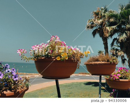 Flowers and plants for landscape design. Pots are different. 94330006