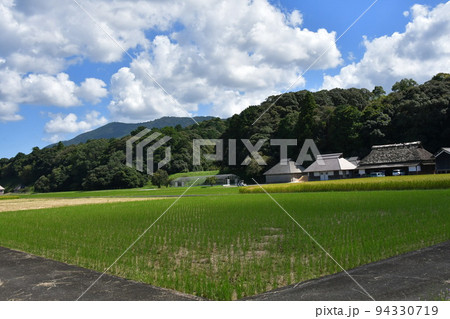 秋の神宮神田 秋の神宮神田 94330719