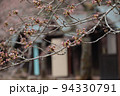 開花はもうすぐ？桜の蕾 94330791
