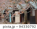 開花はもうすぐ？桜の蕾 94330792