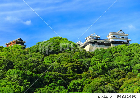 【愛媛県】城山公園から見た松山城（二之丸史跡庭園と天守閣） 94331490