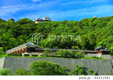 【愛媛県】城山公園から見た松山城（二之丸史跡庭園と天守閣） 94331491