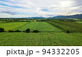 Aerial view of mountains, drone shot photo of agricultural fields, sky and agriculture,Landscape photo, Aerial view top angle beautiful scenery natural 94332205
