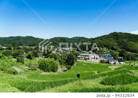 【神奈川県】真っ青な青空の葉山の棚田 94332634