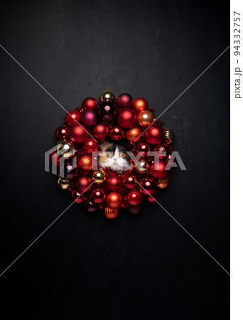 christmas baubles wreath with cat on black background 94332757