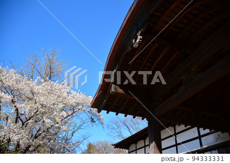 小樽に鎮座する住吉神社 94333331