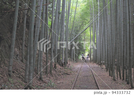 鉄道の廃線跡と竹林 94333732