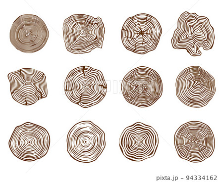Pine log cut. Forest tree rings, natural sawn and trunk cross section. Wooden circle rings stencil vector set Pine log cut. Forest tree rings, natural sawn and trunk cross section. Wooden circle rings stencil vector set 94334162