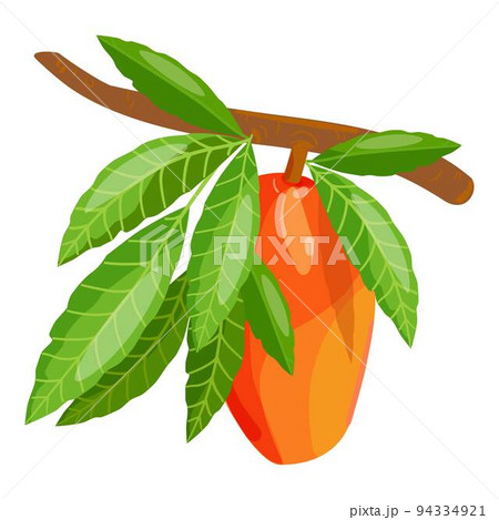 Mango branch icon cartoon vector. Tropical leaf. Garden fruit Mango branch icon cartoon vector. Tropical leaf. Garden fruit 94334921
