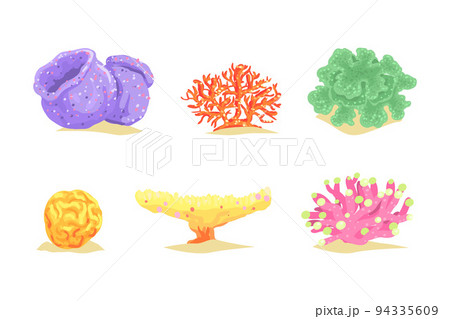 Colorful Coral as Marine Growing Flora from Ocean Bottom Vector Set 94335609