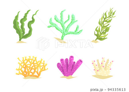 Colorful Coral as Marine Growing Flora from Ocean Bottom Vector Set Colorful Coral as Marine Growing Flora from Ocean Bottom Vector Set 94335613