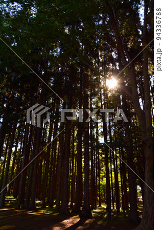 函館見晴公園・香雪園～園敷地内 94336788