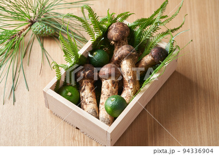 国産の松茸 94336904