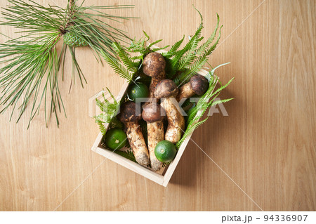 国産の松茸 94336907