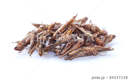 Dry snack migratory locust on white background 94337139
