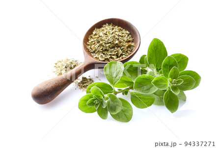Marjoram twigs with dry marjoram in wooden spoon on white background Marjoram twigs with dry marjoram in wooden spoon on white background 94337271