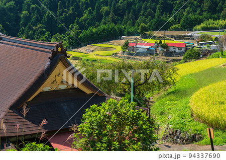 隆運寺と棚田の風景 平林の棚田 隆運寺と棚田の風景 平林の棚田 94337690