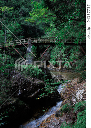 入仙橋　乳岩峡愛知県新城市 94337737