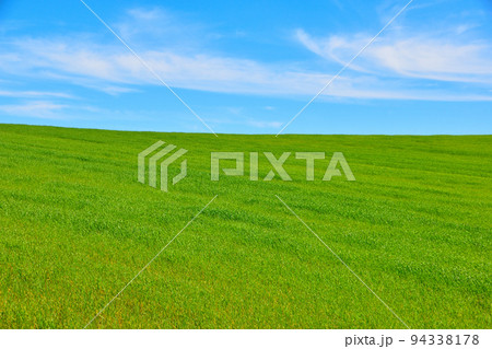 草原の丘 94338178
