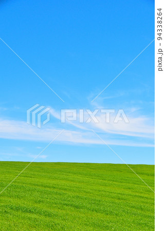 草原の丘 94338264