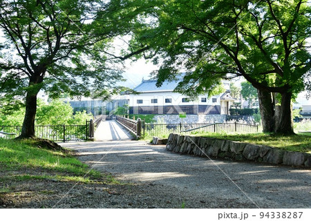 滋賀県大津市　膳所城跡公園散策路と深緑 94338287