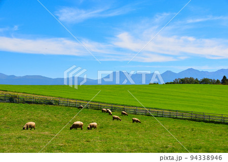 北海道 牧場 北海道 牧場 94338946