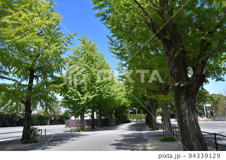 秋の神宮工作所 秋の神宮工作所 94339129