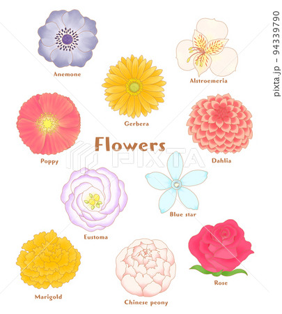 お花のアイコンセット 94339790