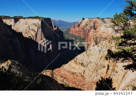 絶景のザイオン国立公園 絶景のザイオン国立公園 94341547