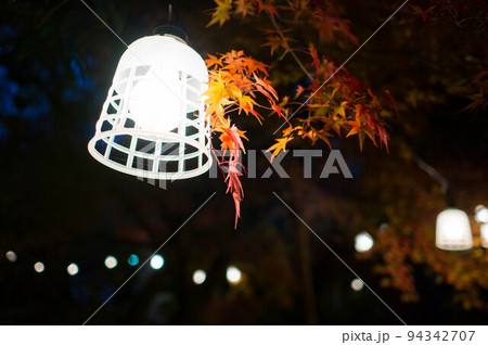 京都 曼殊院弁天堂のライトアップされた秋の紅葉 京都 曼殊院弁天堂のライトアップされた秋の紅葉 94342707