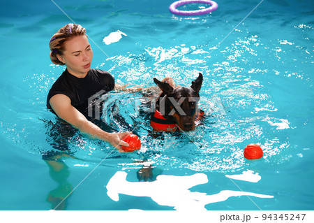 Dog in life jacket swim in the swimming pool with coach. Pet rehabilitation. Recovery training prevention for hydrotherapy. Pet health care Dog in life jacket swim in the swimming pool with coach. Pet rehabilitation. Recovery training prevention for hydrotherapy. Pet health care 94345247